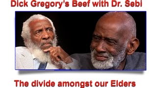 Dick Gregory vs Dr Sebi The divide amongst our black leaders [upl. by Arly203]