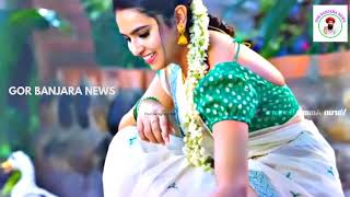 BANJARA SONGS DANCE GOR BANJARA NEWS YOUTUBE CHANNEL [upl. by Rafter]