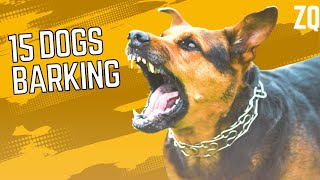 BARKING DOGS How to Make Your Dog Bark  15 Dog Breeds Barking Sound Effects HD [upl. by Accemahs623]