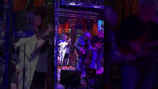 Temecula Wilburys Amazing cover of quotKnocking on Heavens Doorquot DoctorMorbis BobDylan [upl. by Lenny119]