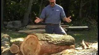 Woodworking DIY Tips Cutting Lumber from Logs [upl. by Wally899]