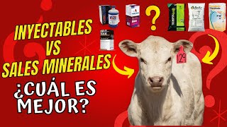 MINERALES PARA GANADO 🐂💉Inyectables vs Minerales en la DIETA  ⭐✅¿Cuál es la MEJOR opción✅⭐ [upl. by Tteirrah]