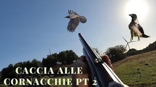 CACCIA ALLE CORNACCHIE PT2 [upl. by Llemart364]