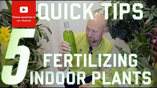 5 quick tips Fertilizing your indoor plants [upl. by Navanod]