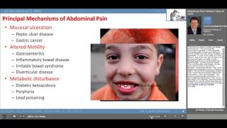 Abdominal Pain Scheme [upl. by Devona]