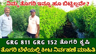 GRG 811 GRG 152 ತೊಗರಿ ಕೃಷಿ  ತೊಗರಿ ಬೆಳೆಯಲ್ಲಿ ಕೀಟ ನಿರ್ವಹಣೆ ಮಾಹಿತಿ  pest management in redgram [upl. by Spohr]