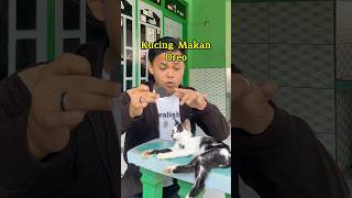 Kucing makan oreo sulap magic sihir shortvideo [upl. by Phelgen]