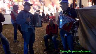 Boms Tocadores no Sao Joao dArga 2014 [upl. by Acinoda]