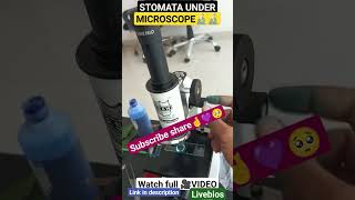 dream beautiful study 🎓experimentstudents👩‍🎓study📚✏microscopestomata biologyexam video 🎥 [upl. by Gal]