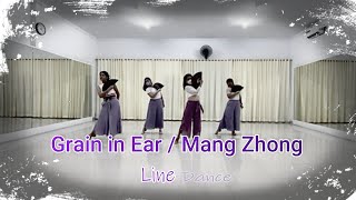 Grain in Ear  Mang Zhong  Line Dance [upl. by Enala205]