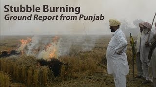 Ground Report Why Farmers Are Burning Stubble In Punjab [upl. by Eentirb]