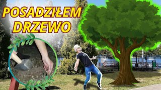 Życie na Trębach Posadziłem drzewoodc11ANIMATOR DAWID [upl. by Freeland412]