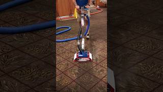 The latest Chocolate Milk carpet cleaning video carpetcleaning Saigers ZipperWand CodeRed [upl. by Enihpled]