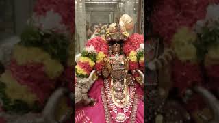 Thillai Thiru chitrakootam Sri Govind Raja Perumal Kovil Navratri utsavam Day 8 [upl. by Kelleher]