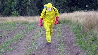 Kungani ukhula lungafuneki Ensimini Controlling weeds [upl. by Aleakcim]