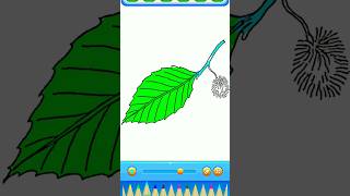 Green Leaf green colour fill out the cartooongame watermelonjuice [upl. by Yzus]