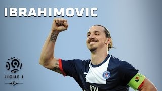 Zlatan Ibrahimovic  All 26 Goals  20132014 [upl. by Cormac]