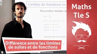 Terminale  Maths  Interprétation géométrique des limites [upl. by Yeliak]