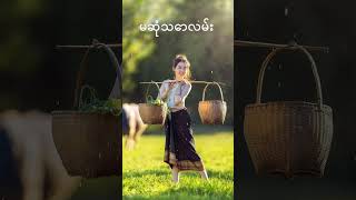 မဆုံသောလမ်း shorts myanmar myanmarmusic [upl. by Ritz]