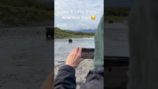 Live A Little  Bear Viewing  Katmai Alaska [upl. by Artemus]