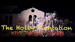 The Holly Plantation What happen to them [upl. by Asilat]