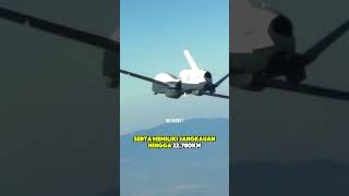 RQ4 Global Hawk Drone yang mampu menjelajah jauh [upl. by Elcin]