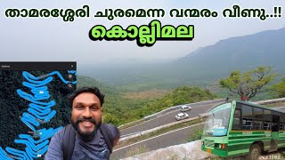 താമരശ്ശേരി ചുരമെന്ന വന്മരം വീണു  kolli hills  കൊല്ലിമല  kolli hills malayalam  salem [upl. by Nellac]