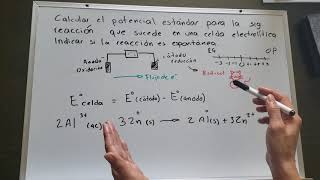 Potencial estandar de celda [upl. by Stephens]