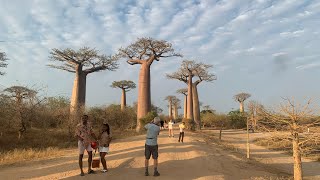 Madagascar Self Drive Adventure 2024 Days 4 to 6 [upl. by Atnohsal261]