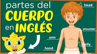 Partes del Cuerpo en Inglés  Inglés para Principiantes [upl. by Ailelc]