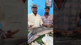 Ungal Meenavan Seafood Shop Salem shorts ungalmeenavan seafoodshop Salem [upl. by Nived824]