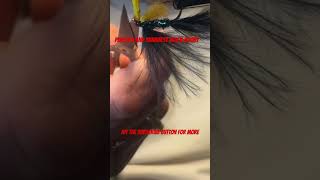 Black Peacock and Sunburst Booby  Catch More Trout with this fly flyfishing flytying fishing [upl. by Ynitsed]