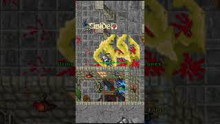 TIBIA  FALCONS TRAP [upl. by Llij]