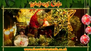 Rainforest Cafe Christmas Promotion  Top Attractions Media [upl. by Clougher]