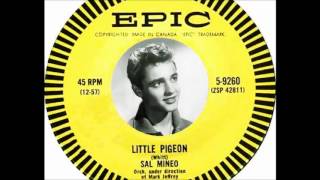 Sal Mineo  Little Pidgeon 1958 [upl. by Htinek]