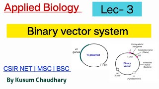 Binary vector system  Lec 3  Applied Biology  science workshop  Kusum Chaudhary MSCcsir net [upl. by Htebazila68]