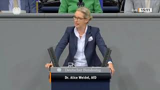 AFD Weidel Merz Scholz [upl. by Mcgaw]