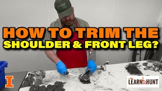 9 How to Trim a Deer Shoulder and Front Leg [upl. by Picardi935]