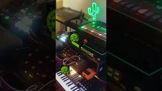 Techno Cactus NO TALKING BehringerEdge [upl. by Asoramla417]