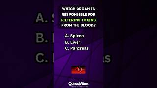 🧠 Quickfire Body Quiz How Well Do You Know Your Organs humanbody anatomy quiztime [upl. by Leighland355]