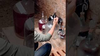 Cleaning demijohns for wine organicwine winemaking [upl. by Fahy]