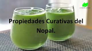 Propiedades Curativas del Nopal [upl. by Nostaw]