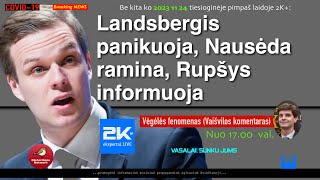 Kodėl taip sunerimo Vyriausybės Vyriausybėje vadovas Gabrielius Landsbergis [upl. by Anilyx]