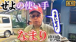 【高知】土佐弁！なまり聖地の方言がスゴすぎた！【2022年12月22日 放送】 [upl. by Averill]