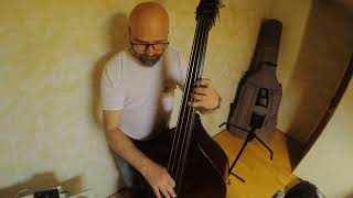 Double Bass Db Blues [upl. by Yahsan]