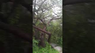 INUNDADO viralshorts viralvideo rain [upl. by Randy]