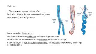 Lecture Nu 21 The Forces in the body [upl. by Adnilym]