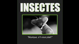 Insectes  Electronic Piece Lucien Broquet Mancera 2023 [upl. by Landre]