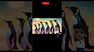 Penguins Say BismillahPenguinsSayBismillahMuslimKidsSongIslamicSongsForKidsBismillahSong [upl. by Lindly]