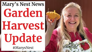 Kitchen Garden Harvest and Some News from Mary’s Nest [upl. by Adnicul260]